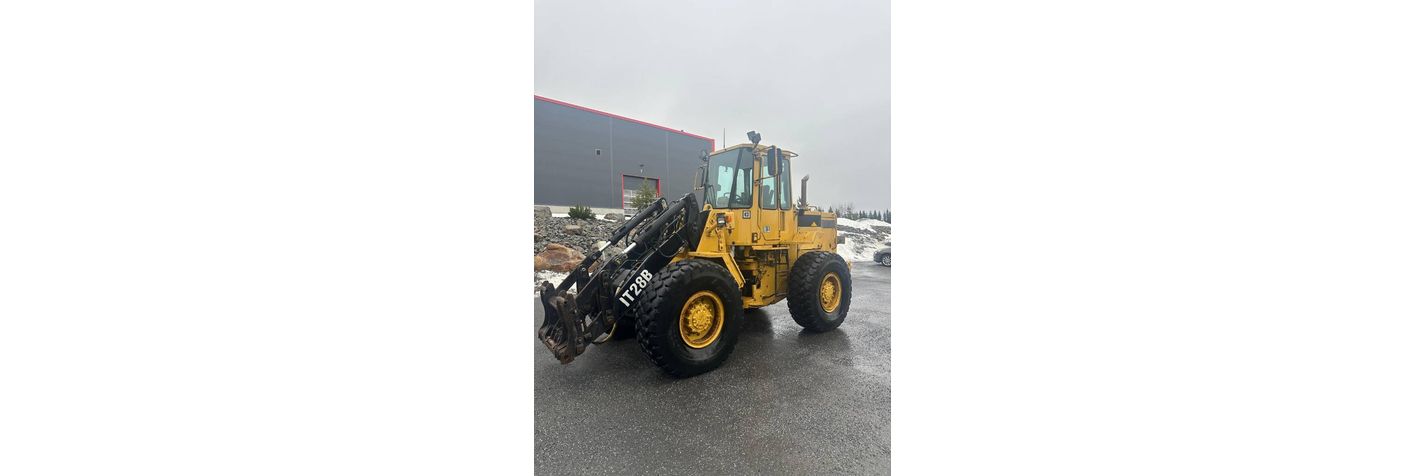 cat-it28b,533d820a.jpg