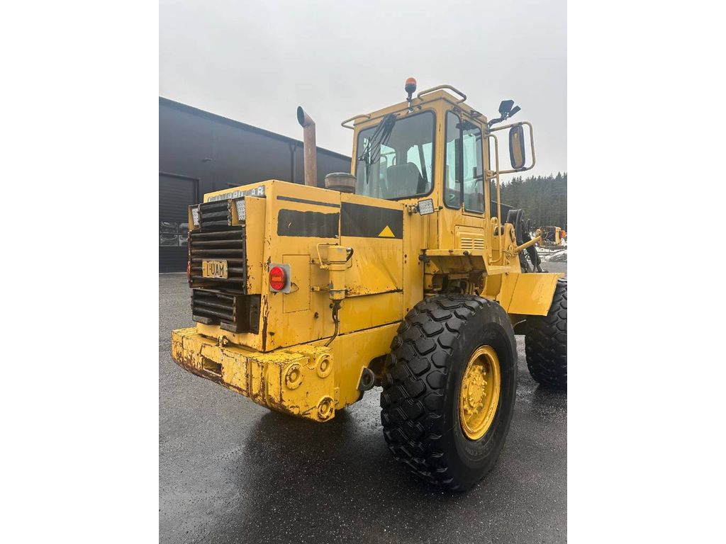 cat-it28b,e045fc8a.jpg