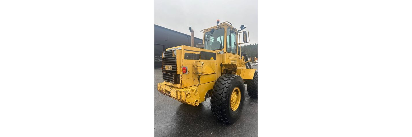 cat-it28b,e045fc8a.jpg