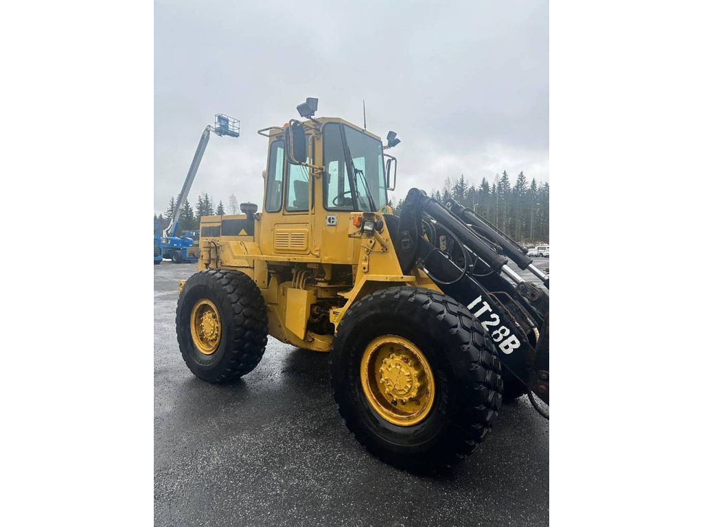 cat-it28b,321cb149.jpg
