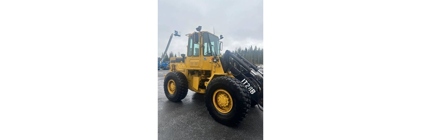 cat-it28b,321cb149.jpg