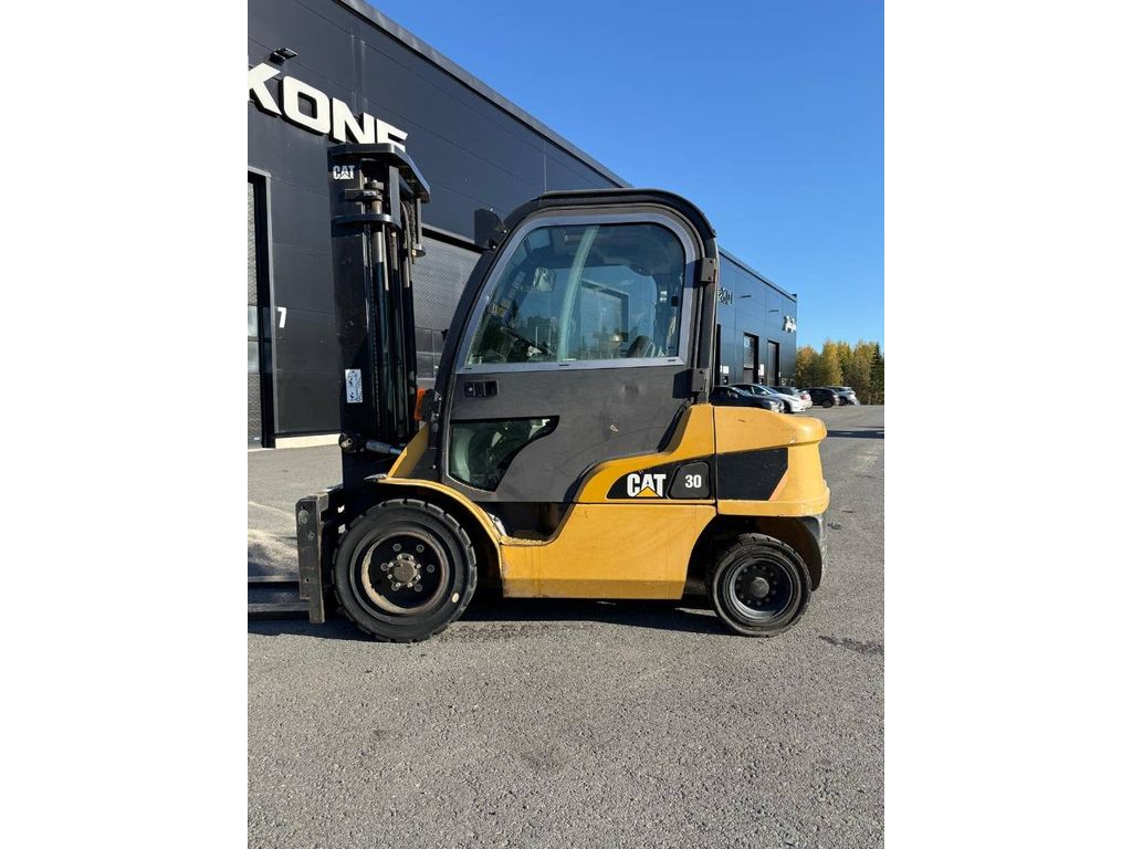 cat-dp-30-n,b4970019.jpg