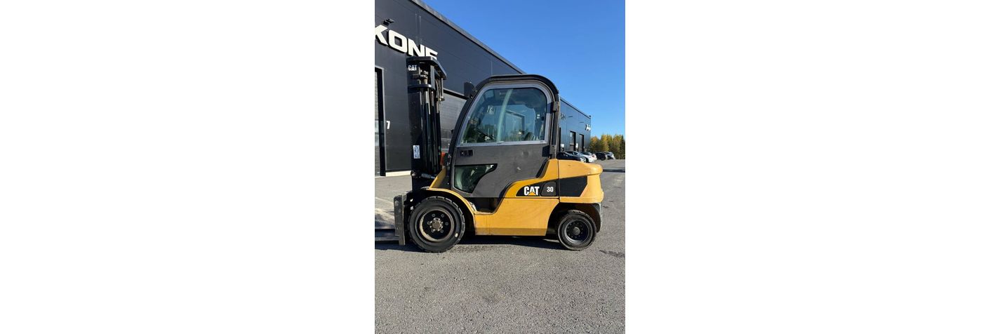 cat-dp-30-n,b4970019.jpg